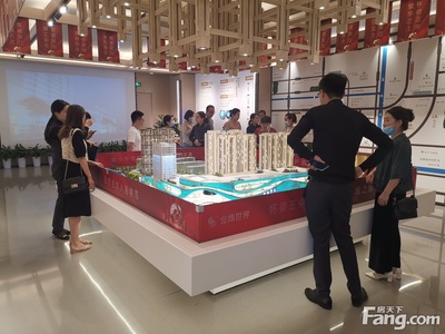 金鷹世界怎么樣?看現(xiàn)場置業(yè)顧問發(fā)布了5條項目新消息!