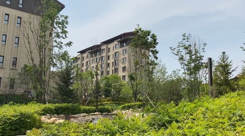 5字頭 即買即下證 長春低密置業的首選,從這個實景洋房開始