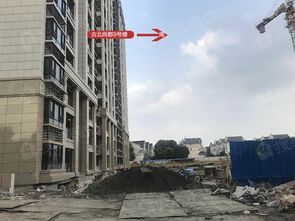 金虹橋80席豪宅預計10月入市 新房與 釘子戶 為鄰